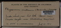 Image Associated With the Occurence